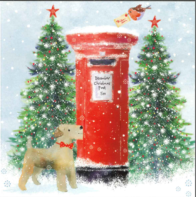 Christmas Post Charity Christmas Card The Air Ambulance Service