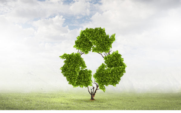 Reuse vs Recycle – Which is Better for the Environment?