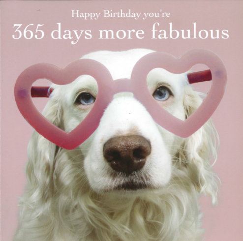 365 Days More Fabulous Birthday Card