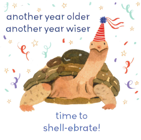 Birthday Shellebrations Greetings Card