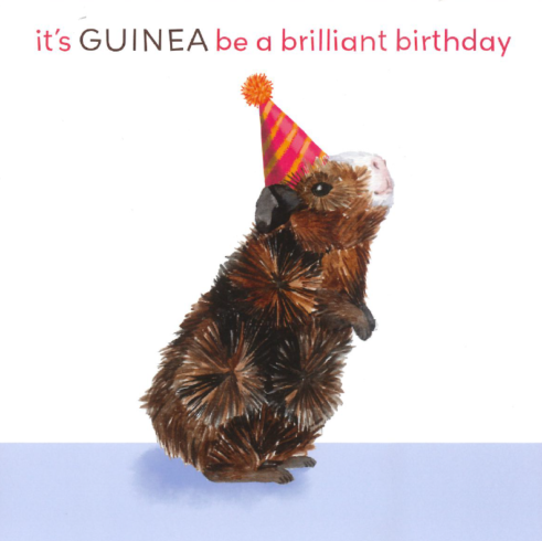 Guinea Be A Brilliant Birthday