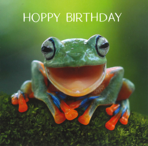 Hoppy Birthday Greetings Card