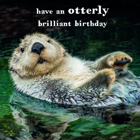 Otterly Brilliant Birthday Card