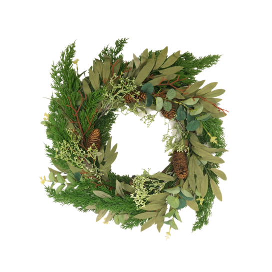 front of green foliage and fircone chrismas wreath