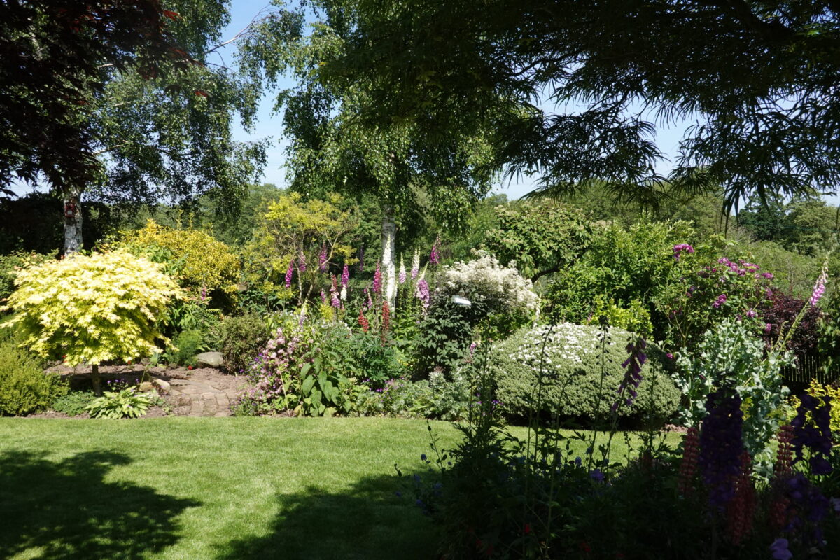 Derbyshire open gardens raise more than £3,600 to support lifesaving service